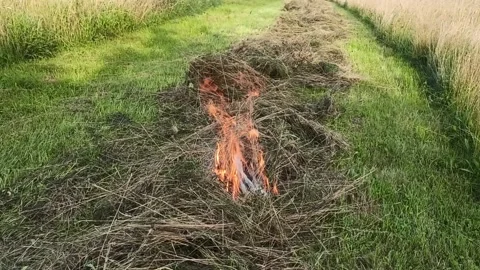 Burning dried grass Stock Footage 149989397