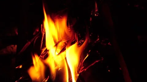 Burning dry branches and firewood. Slow shooting of fire Stock Footage