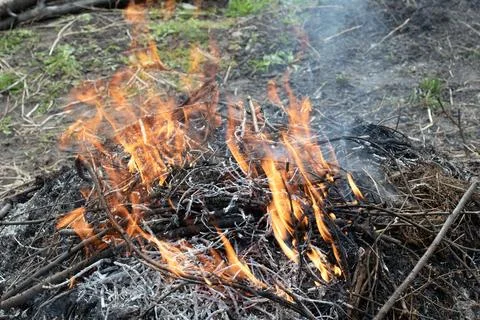 Burning of dry branches and grass in the garden Stock Photos
