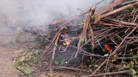 Burning dry branches in backyard with small flames and light smoke rising from Stock Footage 309303264