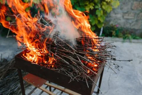 Burning dry branches in the brazier. Stock Photos