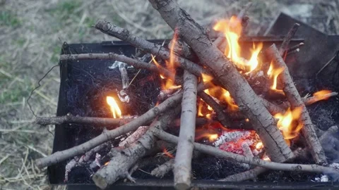 Burning dry branches close-up in a barbecue Vídeos de archivo 171049559
