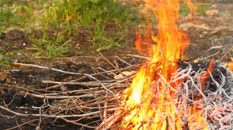 Burning dry branches Video stock 49941840