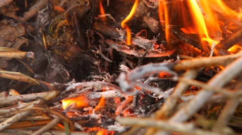 Burning dry branches Stock Footage 49942087