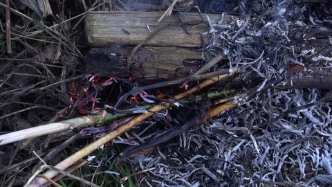 Burning dry grass and branches. Slow motion Stock Footage 73615885