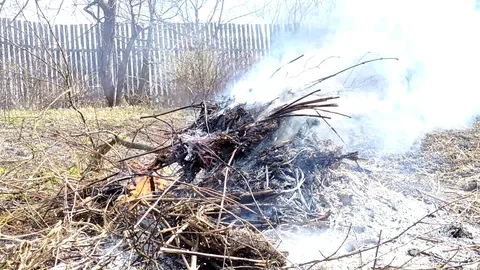 Burning dry grass and garbage in a garden plot. Spring work in the garden. Stockbeeldmateriaal 129199054