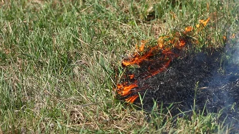 Burning dry grass close-up. Video stock 127703830