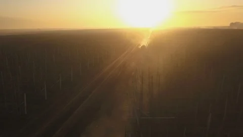 Burning dry grass. Disaster in the forest aerial view. Fires in the summer Stock-Footage 128514644