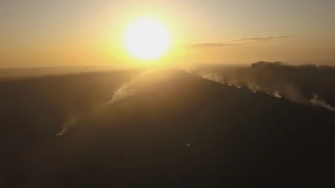 Burning dry grass. Disaster in the forest aerial view. Fires in the summer 스톡 동영상 128514787