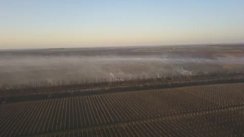 Burning dry grass. Disaster in the forest aerial view. Fires in the summer Stock-Footage 128515073