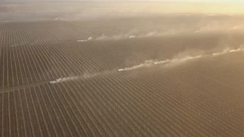 Burning dry grass. Disaster in the forest aerial view. Fires in the summer Stock-Footage 128515399