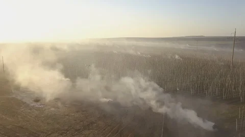 Burning dry grass. Disaster in the forest aerial view. Fires in the summer Stock-Footage 128515826