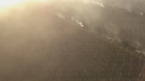 Burning dry grass. Disaster in the forest aerial view. Fires in the summer Stock-Footage 128516007