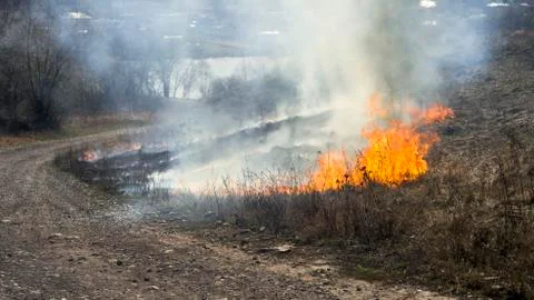 Burning dry grass in early spring. Background Stock Photos