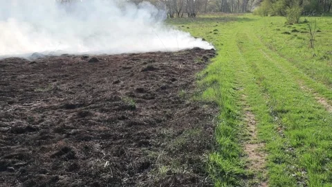 Burning dry grass on the field. Fire in the field. Environmental disaster Stock Footage 271652648