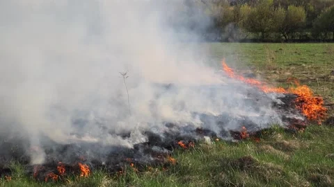 Burning dry grass on the field. Fire in the field. Environmental disaster Stock Footage 271724238