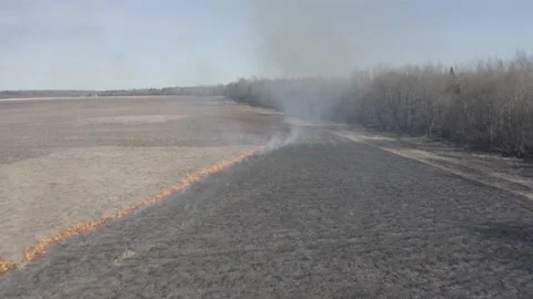 Burning dry grass on the field Stock Footage 147429442