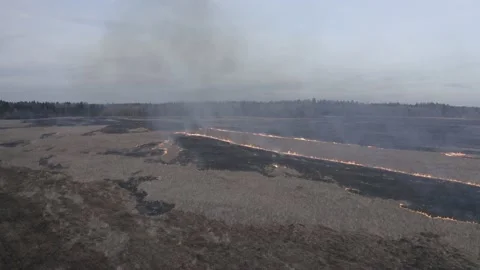Burning dry grass on the field Stock Footage 147439507