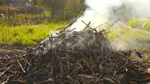 The burning of dry grass on fire in a field Stock Footage 75278766