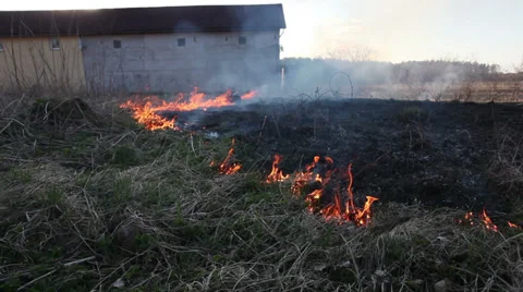 Burning dry grass 動画素材 37266844