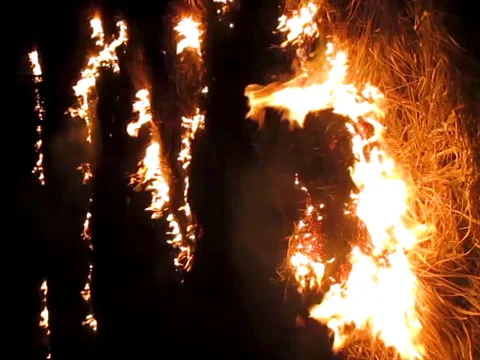 Burning dry grass 库存影片 112715433