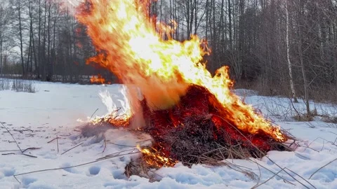 Burning of dry grass Stock Footage 171835513