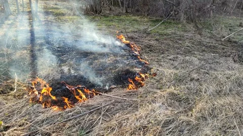 Burning dry grass in the open air №6 Stock Footage 332117299