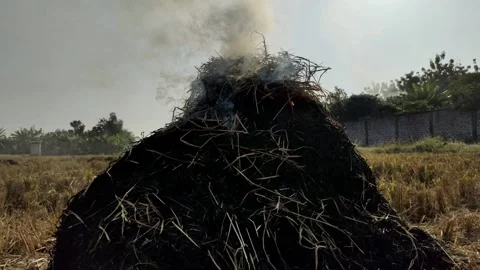 Burning dry grass in an open field Stock Footage 279617082