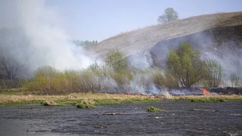 Burning dry grass on the riverside at spring, Russia, 4k UHD video footage Stock Footage 84204050