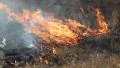 Burning dry grass in the steppe HD Footage