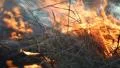 Burning dry grass in the steppe HD Footage