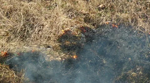 Burning Dry Grass In The Steppe Stock Footage 47633631