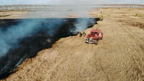 Burning dry grassGrass is burning in meadow. Ecological catastrophy. Fire and Video stock 153143014