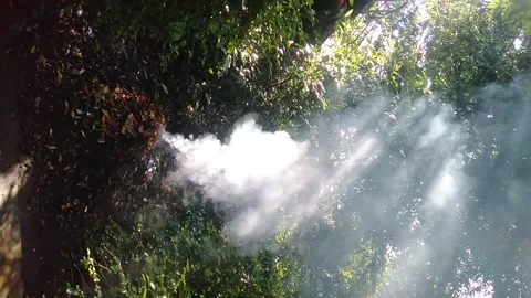 Burning dry leaves causes fire and smoke Stock Footage 240467430