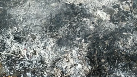 Burning dry leaves at the edge of the forest Stock-Footage 157665686