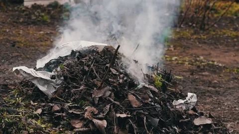 Burning dry leaves with smoke.Environmental pollution Stock Footage
