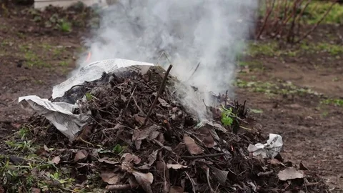 Burning dry leaves with smoke.Environmental pollution Stock Footage