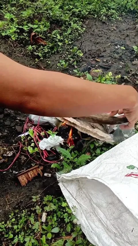 Burning Dry Waste Stock Footage 320853263