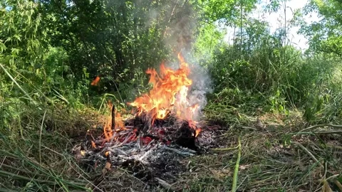 Burning Electrical Wires In Bonfire With Toxic Black Smoke Close Up Video stock 337796336