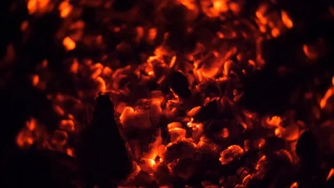 Burning embers, camp fire Stock Footage 124077059