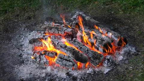Burning embers. Close-up. Stock Photos