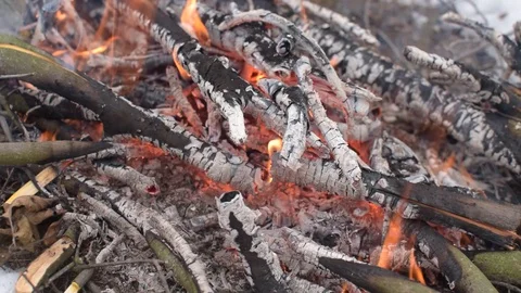 Burning Embers of Fire Stock Footage 102407657