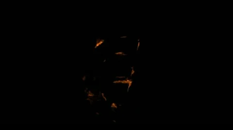 Burning euro to ashes Video stock 21758627