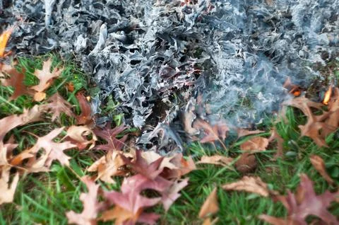 Burning fallen sick leaves in fire, Sanitary cleaning of the autumn garden Stock Photos