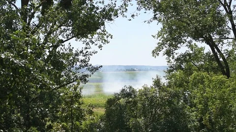 Burning of farm fields in summer in Rivne, Ukraine green trees Video stock 98616270