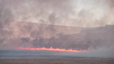 Burning Farmer Field Stock Footage 37372126
