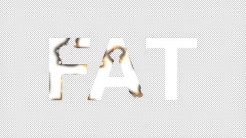 Burning "Fat" text animation with fire effects. Transparent background 库存影片 312788099