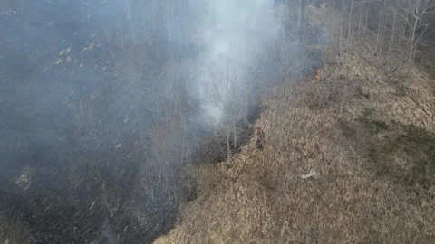 Burning field. A fireman extinguishes a fire. Wildfire in the mountains. Stock Footage 275853776