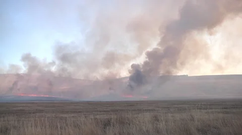 Burning Field 動画素材 37372097