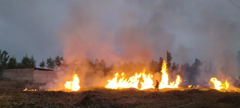 Burning Field Vídeos de archivo 238695981